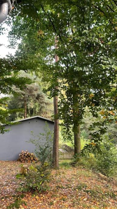Mit Privatsauna Lage (Lippe)