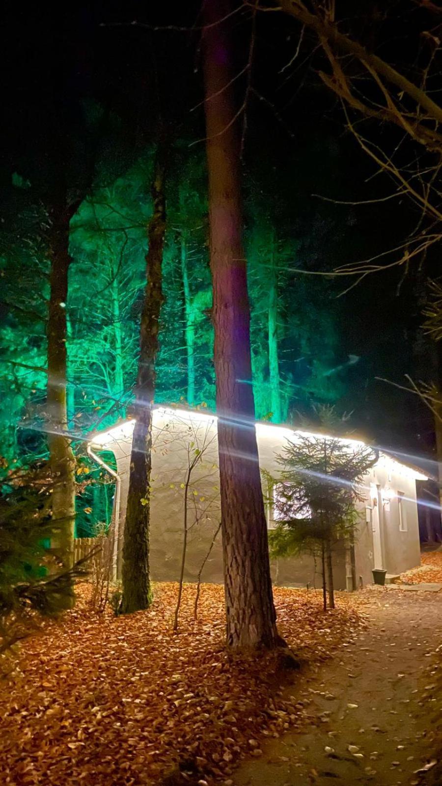 Mit Privatsauna Ferienhaus